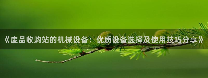 金年会电子游戏—2023全球木材与木制品大会：《废品收购站的机械设备：优质设备选择及使用技巧分享》
