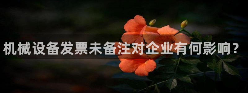 金年会体育官网app：机械设备发票未备注对企业有何影响？