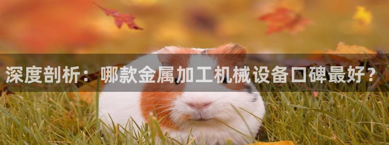 金年会 金字招牌诚信至上欢迎您：深度剖析：哪款金属加工机械设备口碑最好？