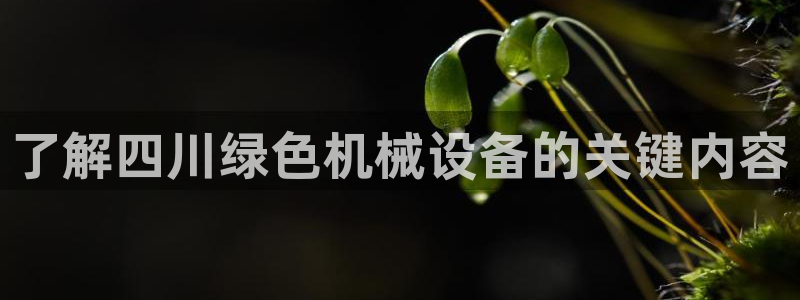 金年会体育app网页版官方入口：了解四川绿色机械设备的关键内容
