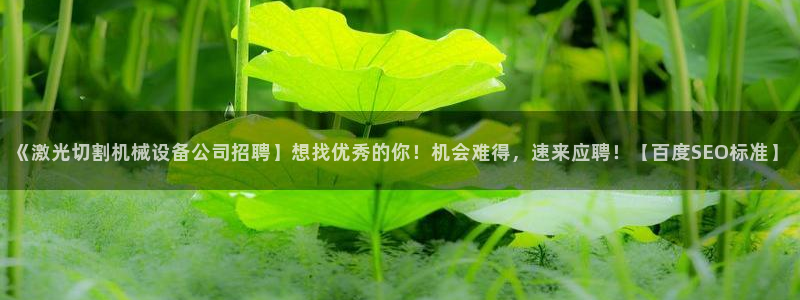 金年会体育客户端登录：《激光切割机械设备公司招聘】想找优秀的你！机会难得，速来应聘！【百度SEO标准】