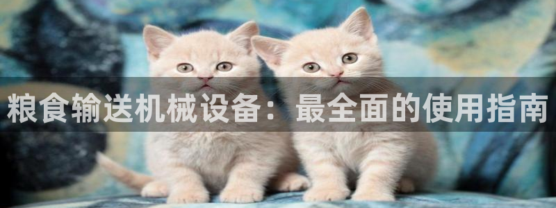 金年会qq群：粮食输送机械设备：最全面的使用指南