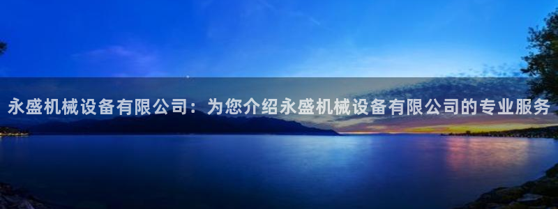 金年会体育综合App：永盛机械设备有限公司：为您介绍永盛机械设备有限公司的专业服务