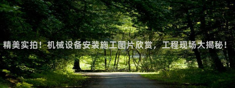 金年会体育app是干嘛的：精美实拍！机械设备安装施工图片欣赏，工程现场大揭秘！