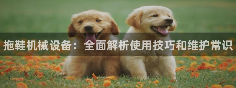 金年会手机版登录：拖鞋机械设备：全面解析使用技巧和维护常识