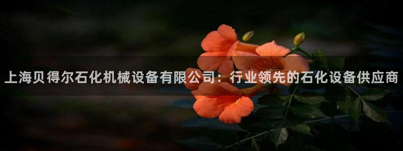 金年会官方在线入口网址是什么：上海贝得尔石化机械设备有限公司：行业领先的石化设备供应商