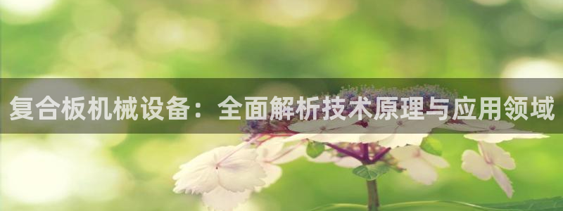 金年会官方体育频道直播：复合板机械设备：全面解析技术原理与应用领域