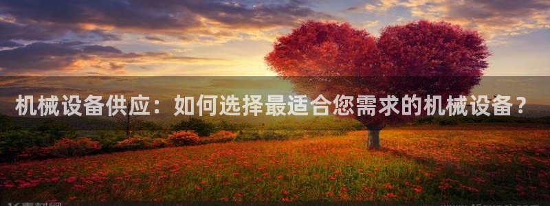 jinnian金年会体育在线入口：机械设备供应：如何选择最适合您需求的机械设备？