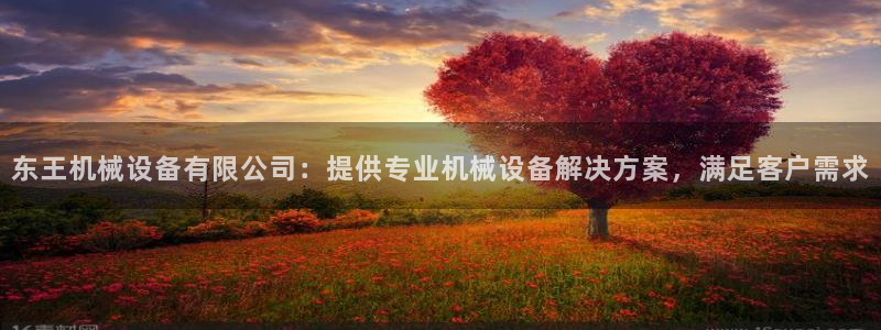金年会体育买球app下载官网：东王机械设备有限公司：提供专业机械设备解决方案，满足客户需求