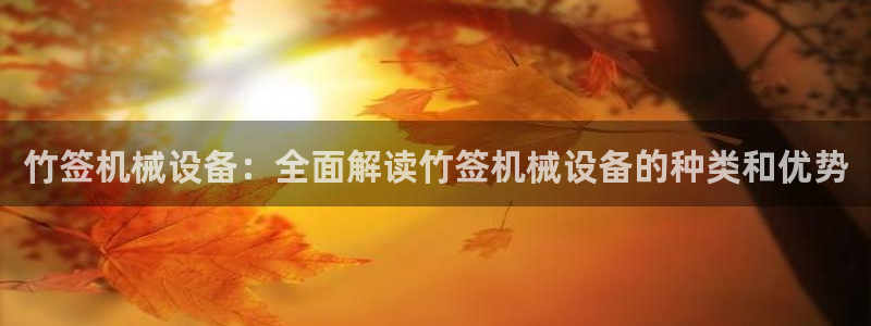 金年会官方进入2023：竹签机械设备：全面解读竹签机械设备的种类和优势