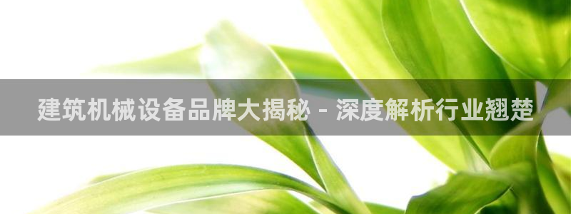 jinnianhui金年会195：建筑机械设备品牌大揭秘 - 深度解析行业翘楚