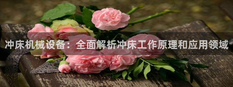金年会体育网app下载：冲床机械设备：全面解析冲床工作原理和应用领域