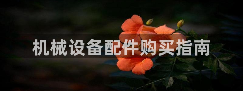 金年会信誉至上 | 金字招牌：机械设备配件购买指南