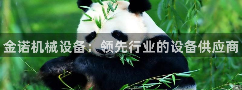 金年会体育论坛：金诺机械设备：领先行业的设备供应商