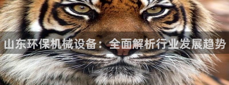 金年会体育平台怎么样：山东环保机械设备：全面解析行业发展趋势
