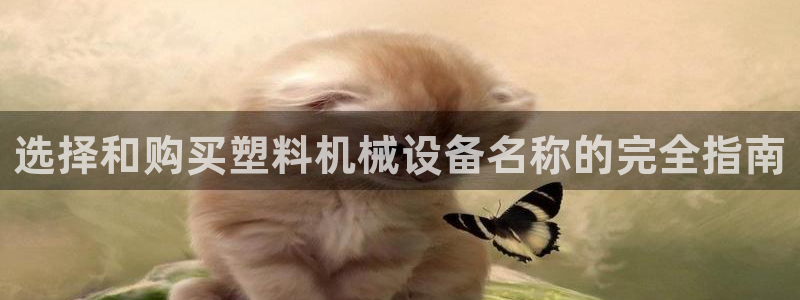 金年会入口：选择和购买塑料机械设备名称的完全指南
