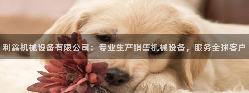 金年会在线入口登陆：利鑫机械设备有限公司：专业生产销售机械设备，服务全球客户