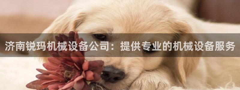 金年会App官方下载：济南锐玛机械设备公司：提供专业的机械设备服务