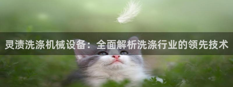 金年会app平台有人玩过吗