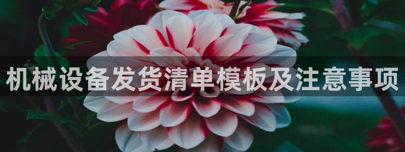 金年会pp电子：机械设备发货清单模板及注意事项