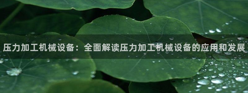 金年会体育app最新官网下载苹果：压力加工机械设备：全面解读压力加工机械设备的应用和发展
