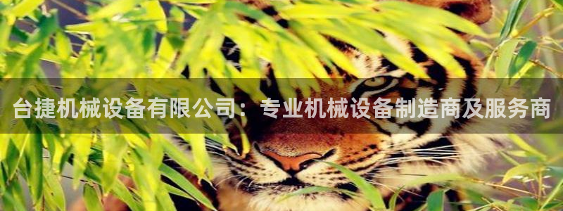 金年会app下载官网登录入口：台捷机械设备有限公司：专业机械设备制造商及服务商