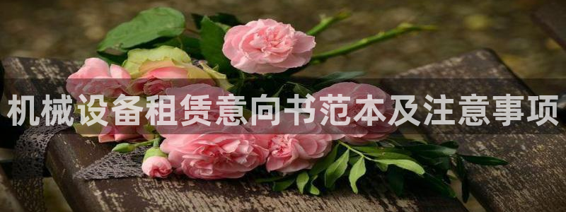 金年会能赢吗：机械设备租赁意向书范本及注意事项