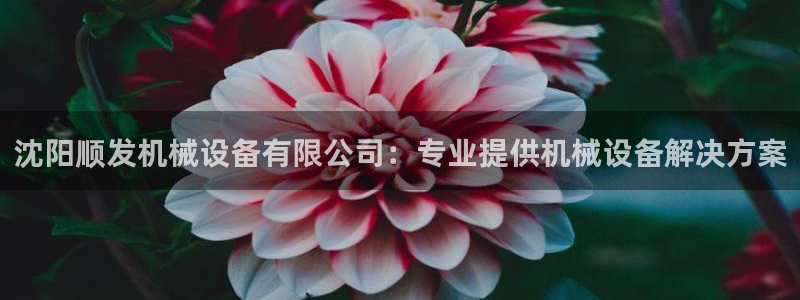 金年会体育登陆：沈阳顺发机械设备有限公司：专业提供机械设备解决方案