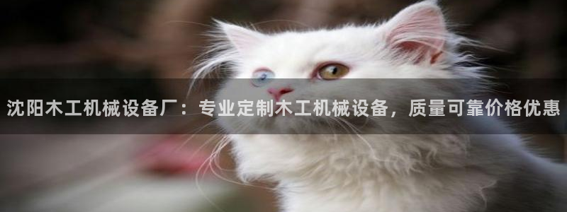 金年会下载安卓：沈阳木工机械设备厂：专业定制木工机械设备，质量可靠价格优惠