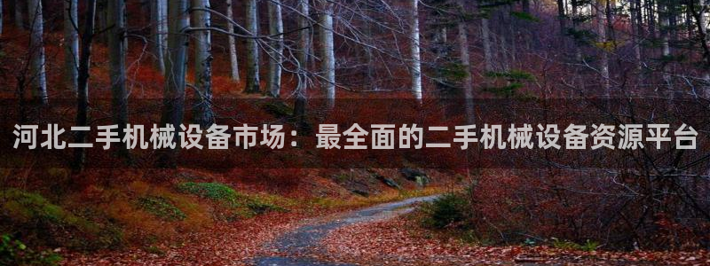 金年会体育app下载官网：河北二手机械设备市场：最全面的二手机械设备资源平台