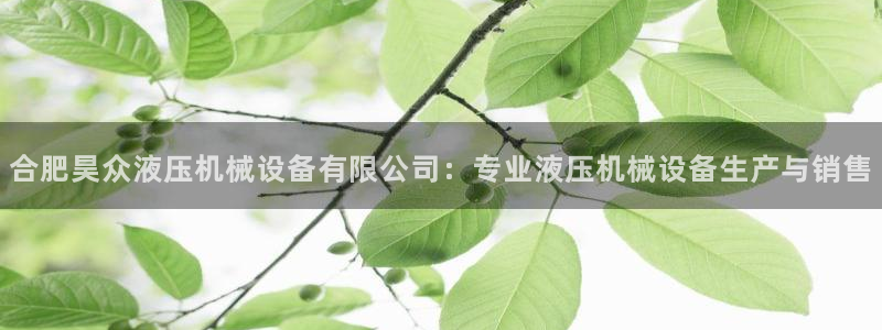 金年会手机版·(中国)官方网站-app下载：合肥昊众液压机械设备有限公司：专业液压机械设备生产与销售