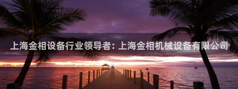 金年会电子游戏怎么玩：上海金相设备行业领导者: 上海金相机械设备有限公司