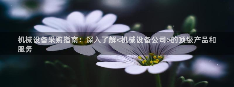 金年会电子官网下载：机械设备采购指南：深入了解<机械设备公司>的顶级产品和
服务