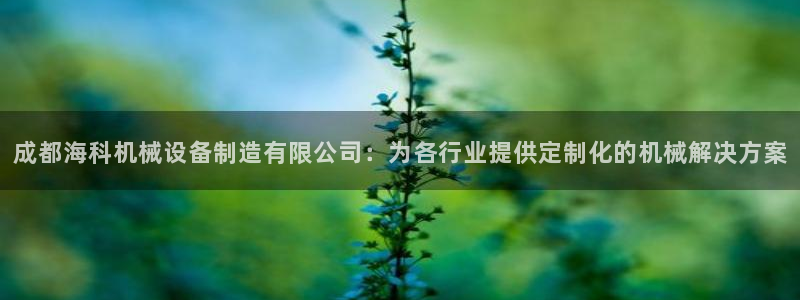 金年会体育登陆：成都海科机械设备制造有限公司：为各行业提供定制化的机械解决方案