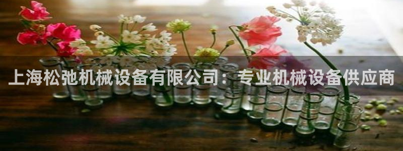 金年会在线入口登陆：上海松弛机械设备有限公司：专业机械设备供应商
