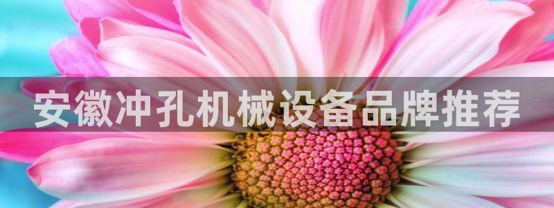 金年会jinnianhui
