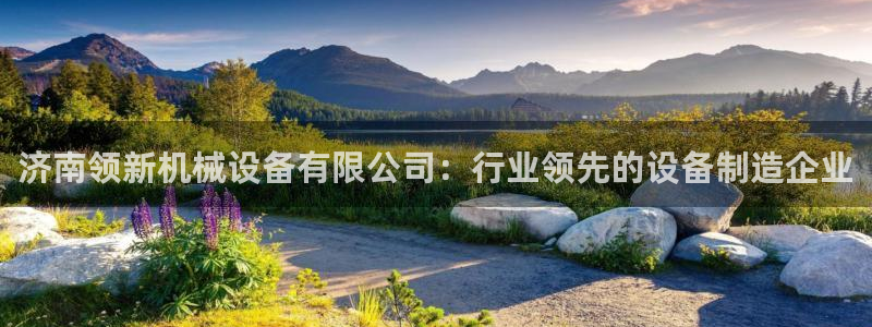 金年会金字招牌至上：济南领新机械设备有限公司：行业领先的设备制造企业