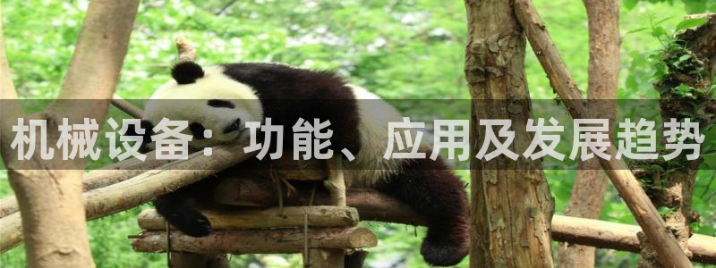 金年会app登录官网入口