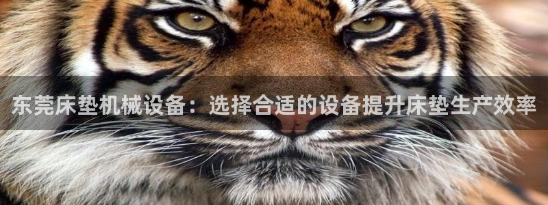 金年会体育手机app下载官网最新版