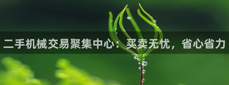 金年会体育app下载官网苹果版