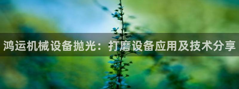 金年会诚信至上金字招牌