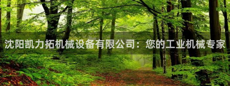 金年会体育app平台怎么样可靠吗