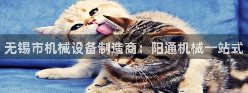 金年会官方入口app