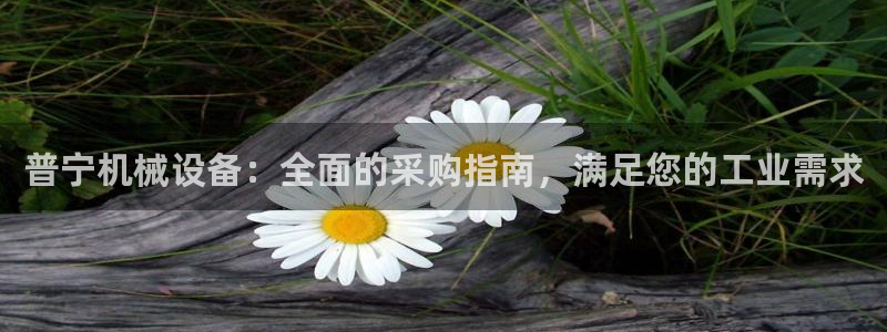 金年会官方入口网站