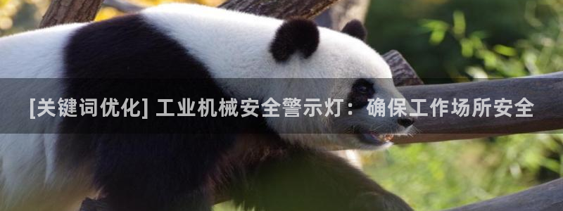 金年会官方网站入口登录手机版下载安装
