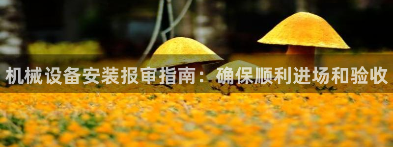 金年会体育app网页版官方入口