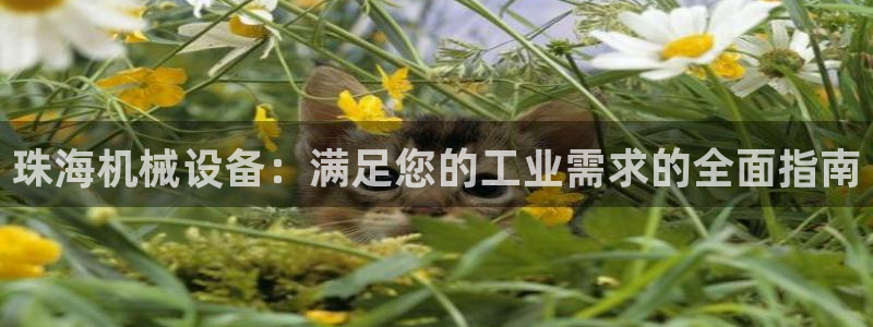 金年会电子app官方下载