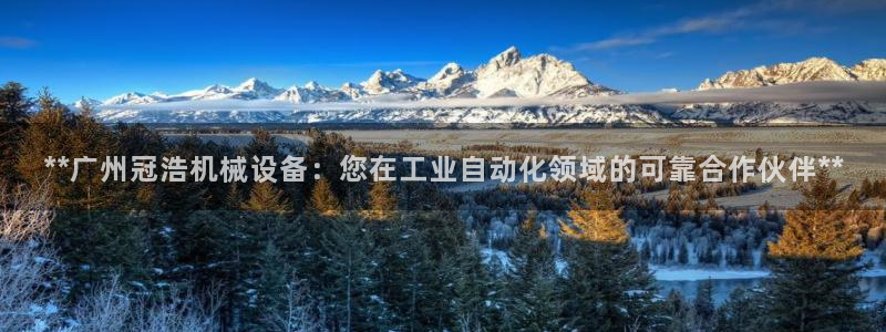 金年会体育app网页版官方入口