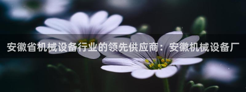 金年会官方网站登录