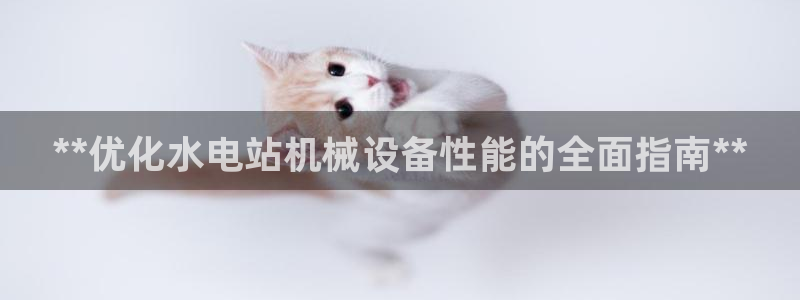 金年会官方入口app